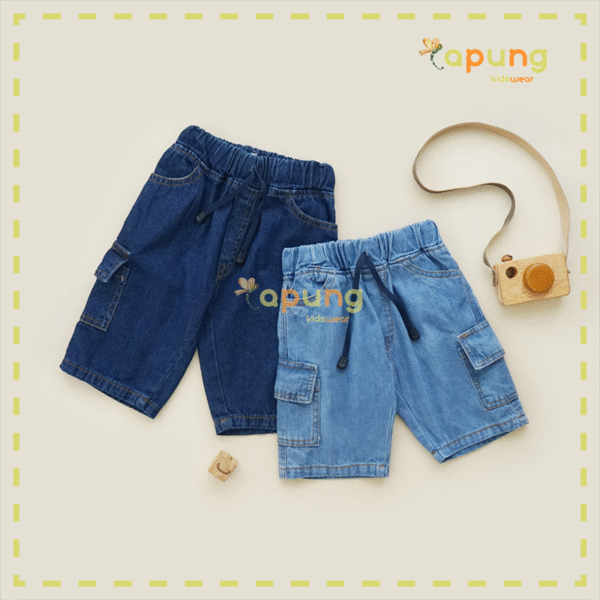 Hoshi Cargo